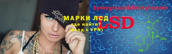 СК Вязьма