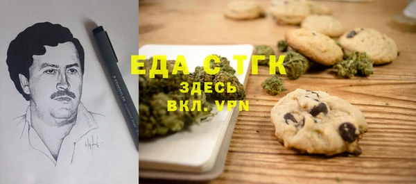 СК Вязьма