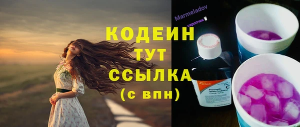 СК Вязьма