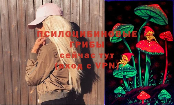 ALPHA-PVP Вяземский