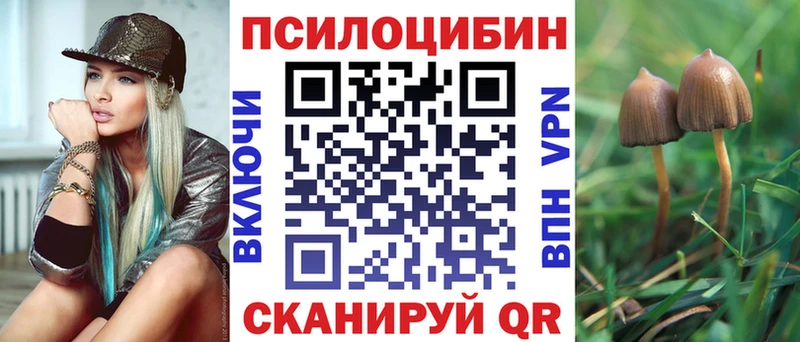где купить наркотик  Пикалёво  Галлюциногенные грибы GOLDEN TEACHER 